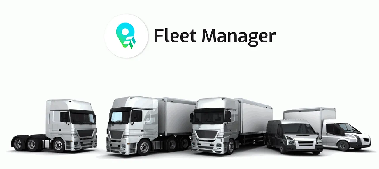 tipstobuyfleetvehicles-1-01